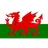 Wales U19