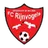 Rijnvogels