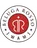 Beluga Rosso Iwami