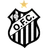 Operario Ferroviario