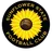 Sunflower State