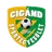 Cigand SE