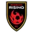 Phoenix Rising