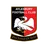 Aylesbury Vale Dynamos